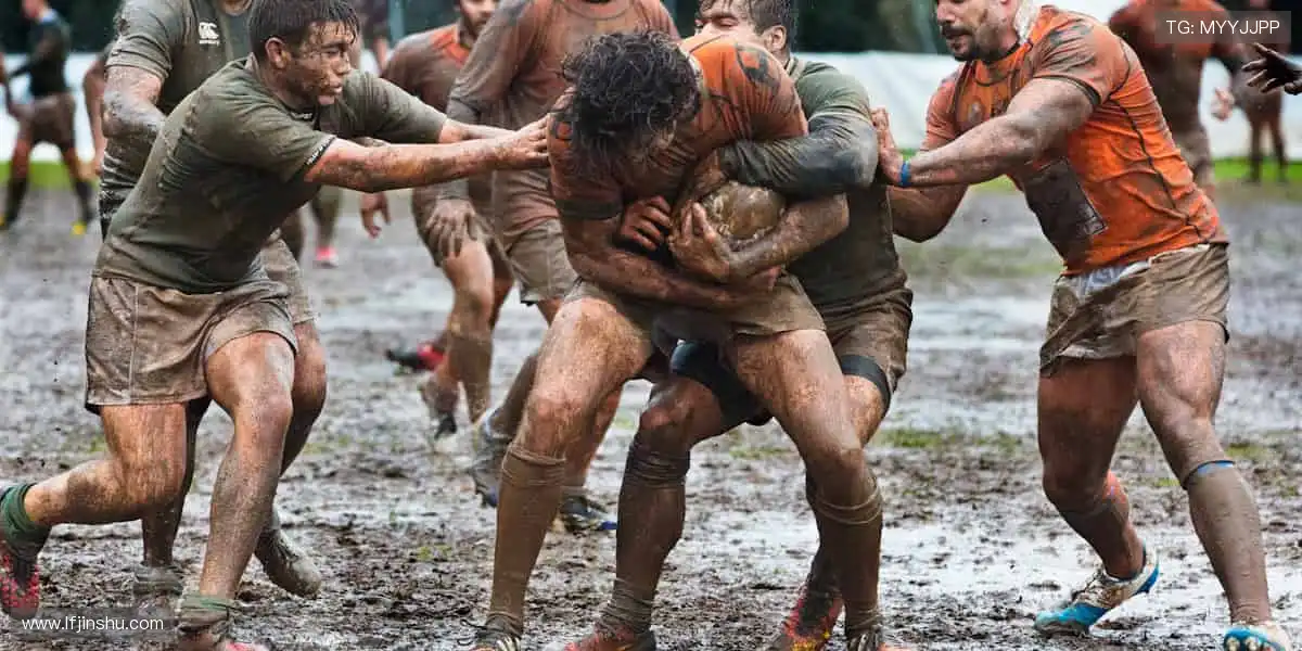 🎯 球星同款,即刻拥有!体育周边商城,解锁你的专属热爱!